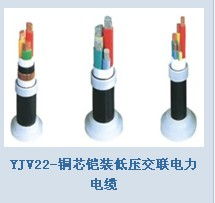 電線電纜與高低壓配電柜產(chǎn)品圖鑒 電力系統(tǒng)的骨干力量